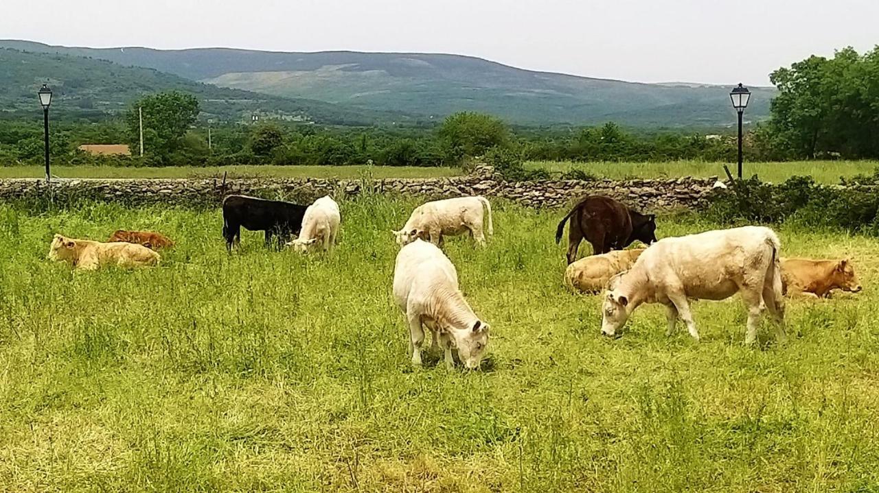 Casa Rural El Remolon Pinuecar Eksteriør billede