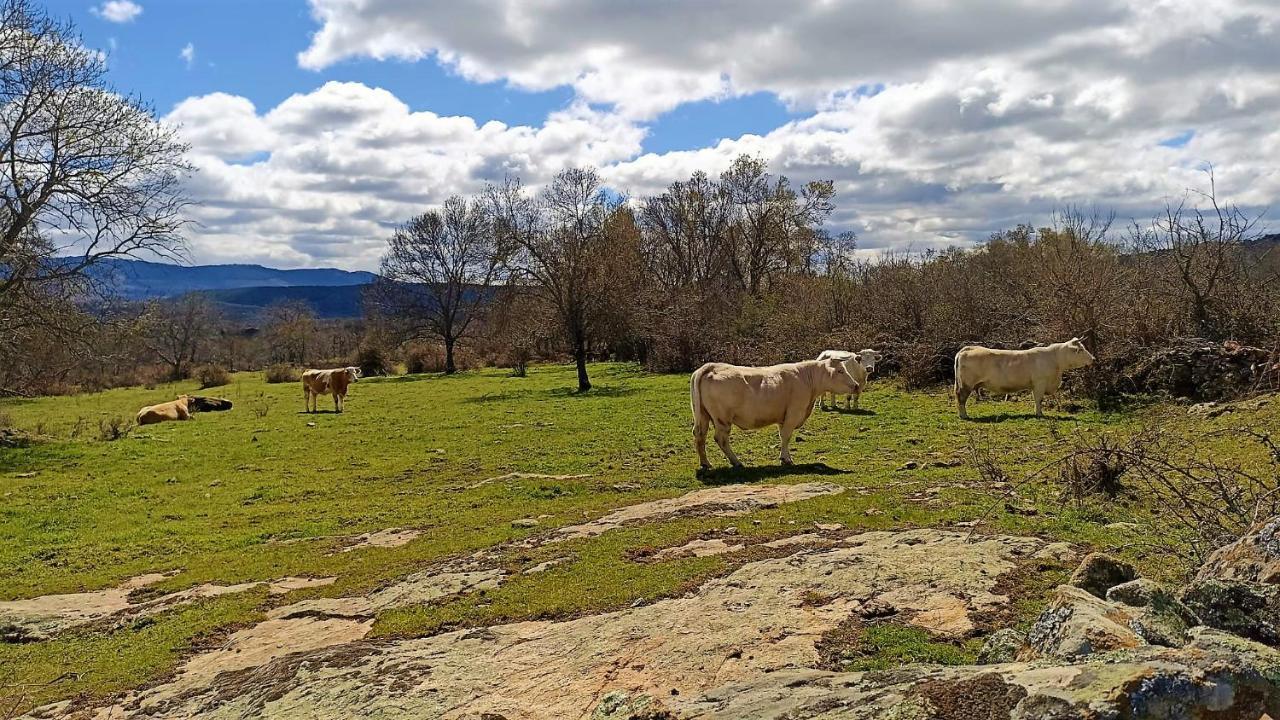 Casa Rural El Remolon Pinuecar Eksteriør billede