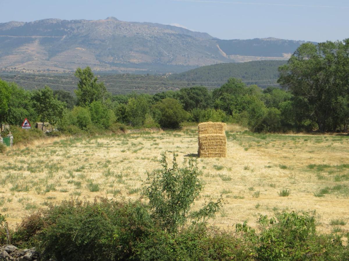 Casa Rural El Remolon Pinuecar Eksteriør billede